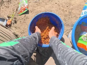 6 копійчаних добавок з аптеки та кухні, які змуслять рибу клювати: рецепти та пропорції